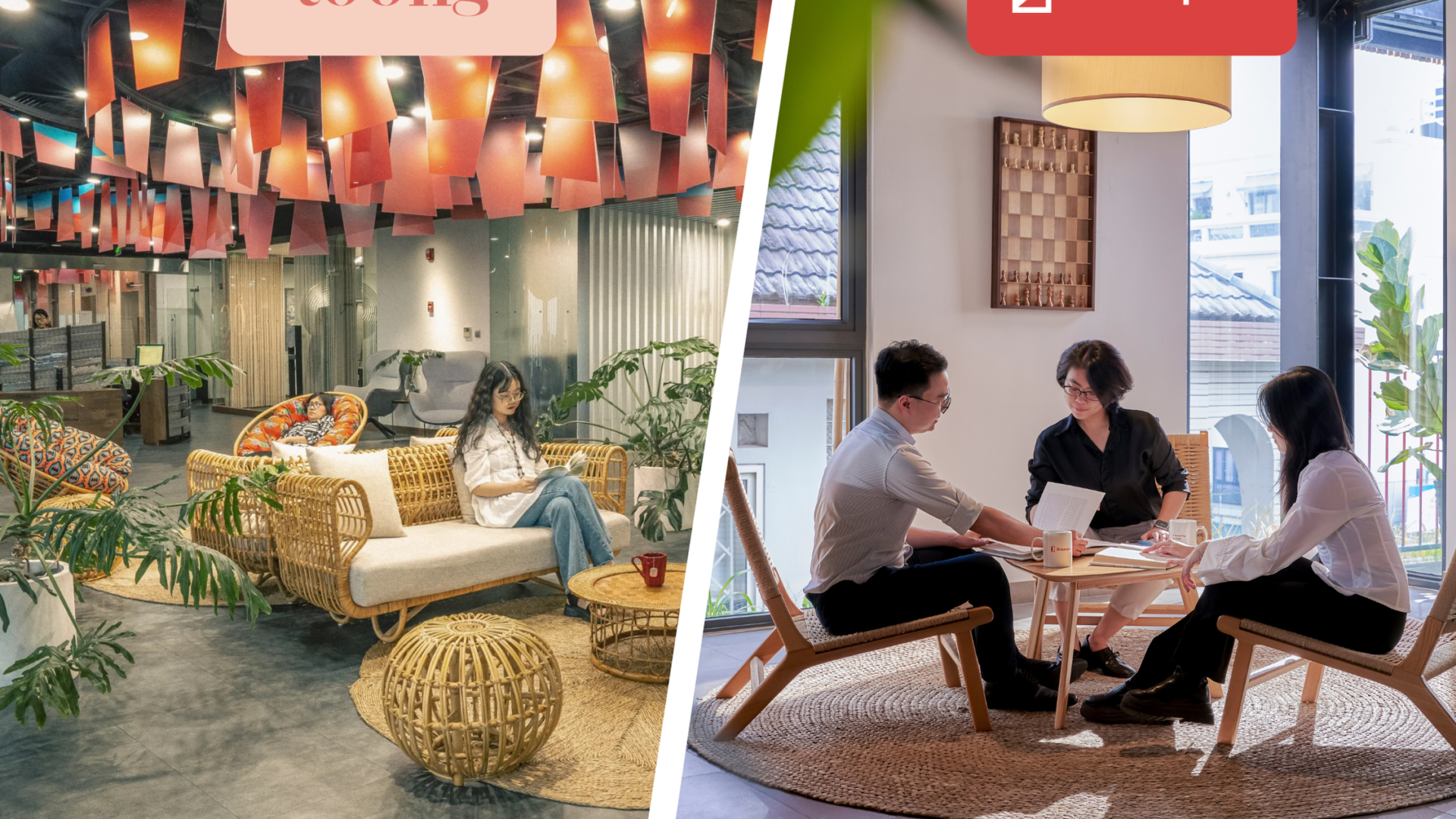 Toong-vs-DPX Toong-vs-DPX