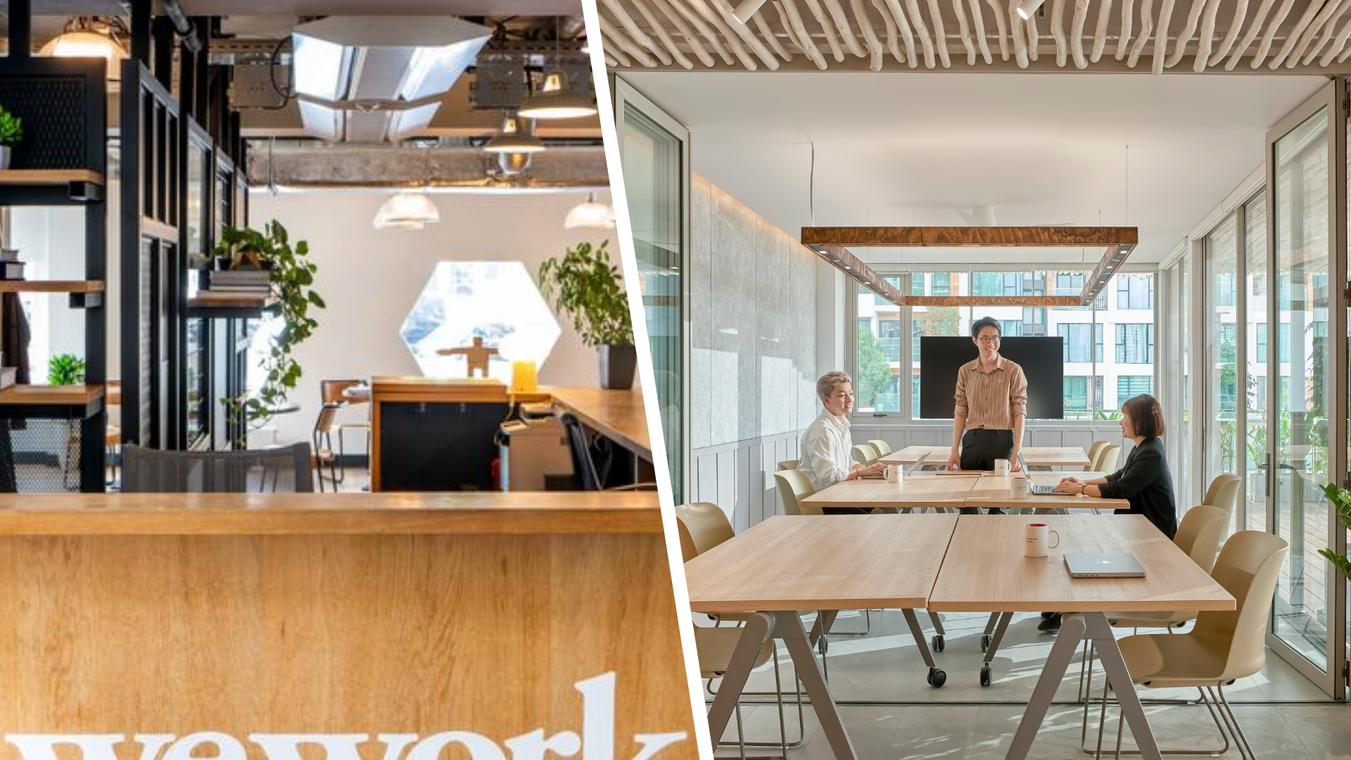 WeWork vs DPX